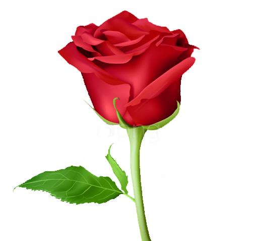 عکس استیکر واتساپ گل