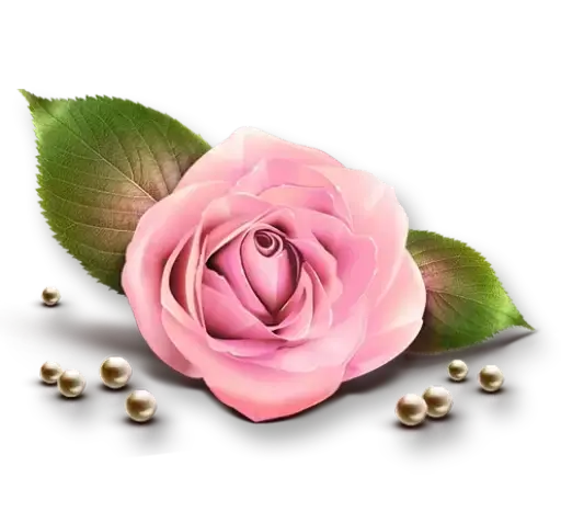عکس استیکر واتساپ گل
