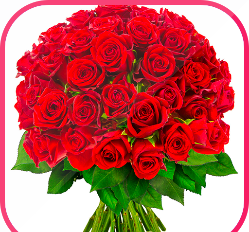 عکس استیکر واتساپ گل