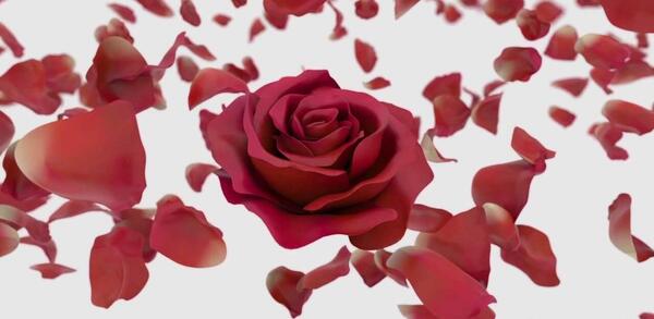 عکس استیکر واتساپ گل