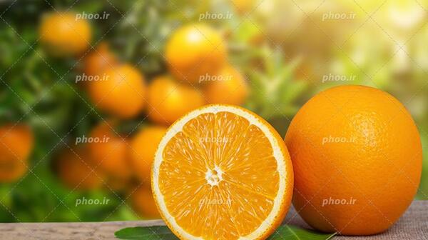 عکس کریشی نصف پرتقال