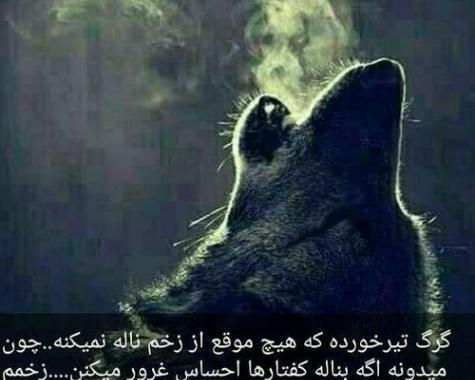 عکس نوشته خدای غرورم