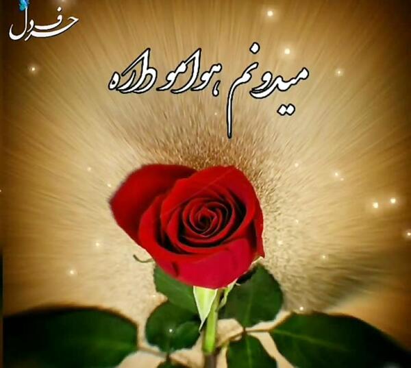 عکس نوشته خدا هوامو داره