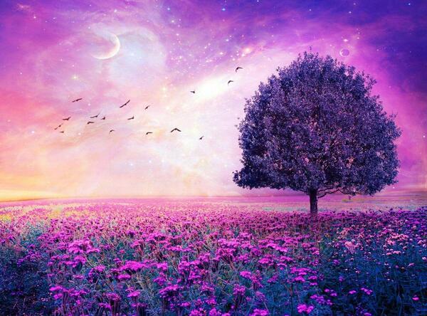 بهترین عکس طبیعت برای پروفایل