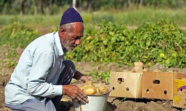 عکس بابا نان داد