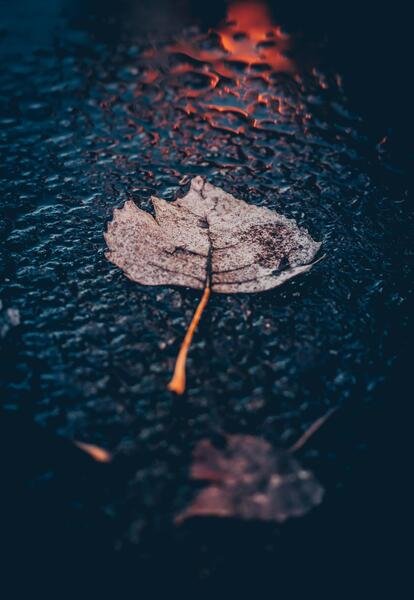 عکس باران برای پس زمینه