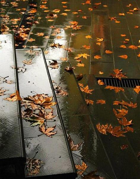 عکس باران برای پس زمینه