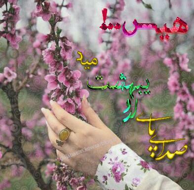 عکس نوشته صدای پای بهار می آید