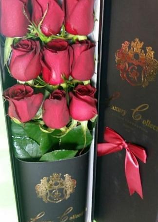 عکس گل رز شاخه