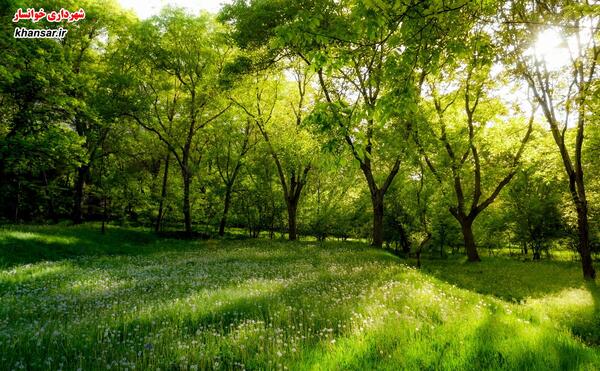 عکس از طبیعت خوانسار