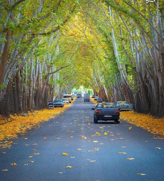 عکس از طبیعت خوانسار