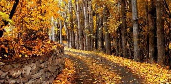 عکس از طبیعت خوانسار