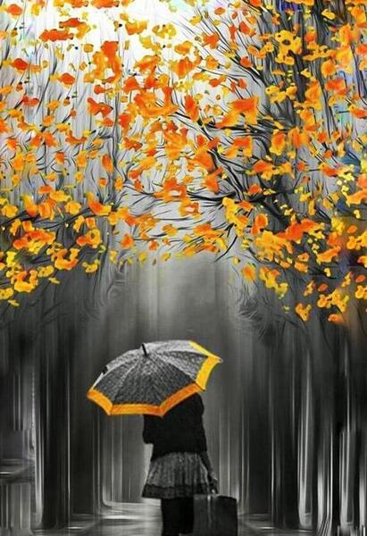 عکس باران عاشقانه پاییزی