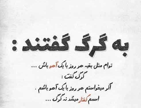 عکس نوشته زیبا لاتی