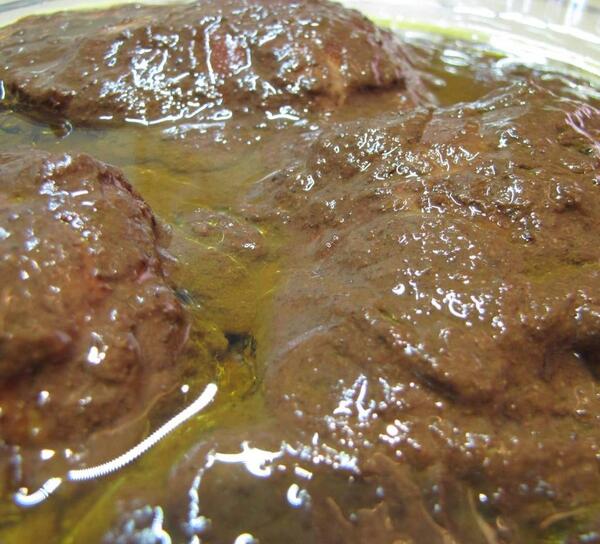 عکس غذا فسنجون