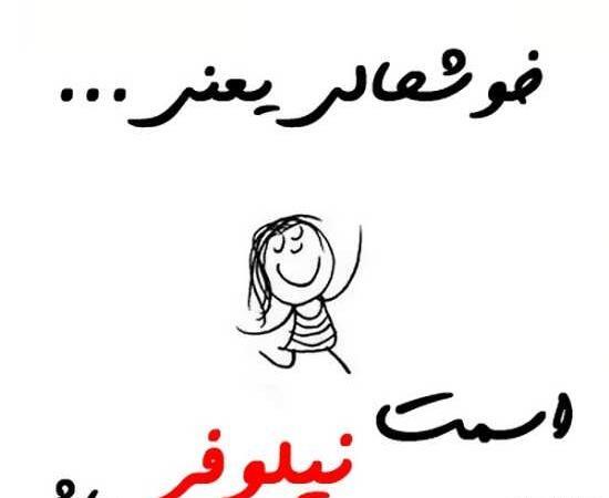 عکس نوشته ی اسم نیلوفر