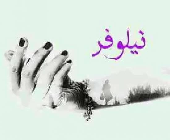 عکس نوشته ی اسم نیلوفر