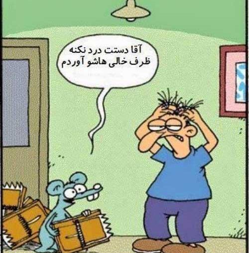 عکس خنده دار ظرف