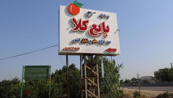عکس هوایی نکا