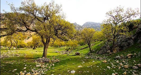 عکس تصاویر زیبای طبیعت یاسوج