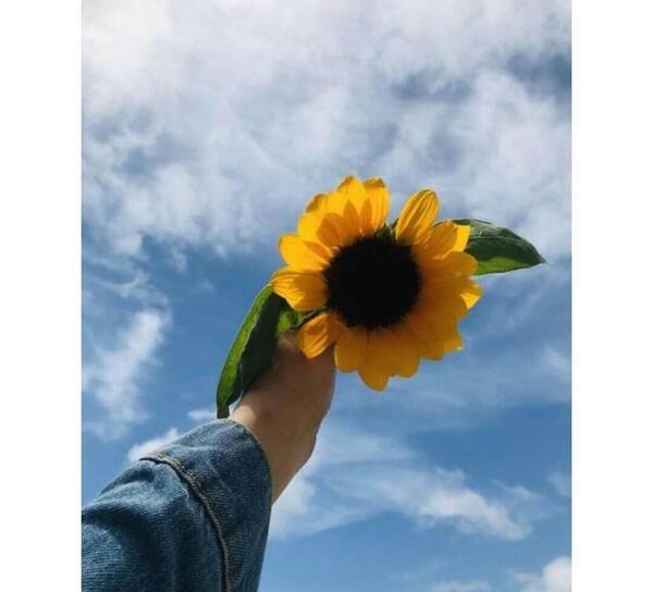 عکس دخترونه زرد