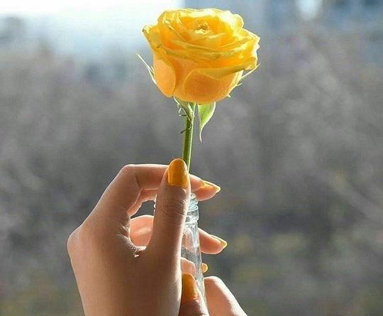 عکس دخترونه زرد