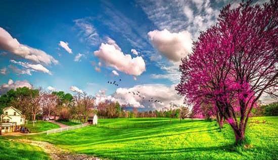 عکس منظره و طبیعت