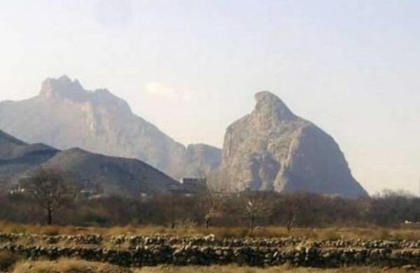 عکس عقاب کوه یزد