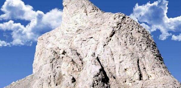 عکس عقاب کوه یزد