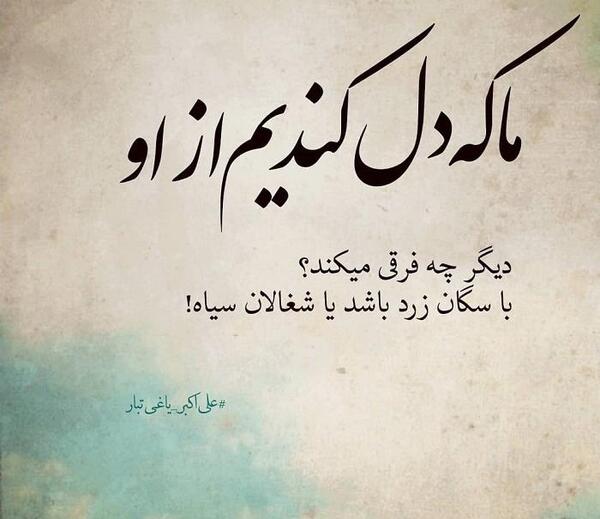 عکس نوشته زندگی نفس کش میخواد