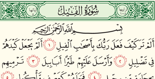 عکس سوره ی فیل