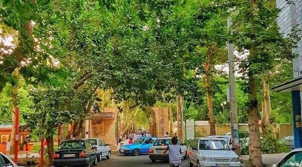 عکس محمد صادق فاتح یزدی