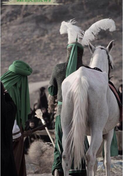 عکس حیوان ذوالجناح