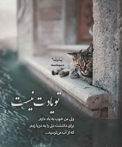 عکس نوشته علی صالحی