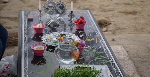 عکس ایده هفت سین شهدایی