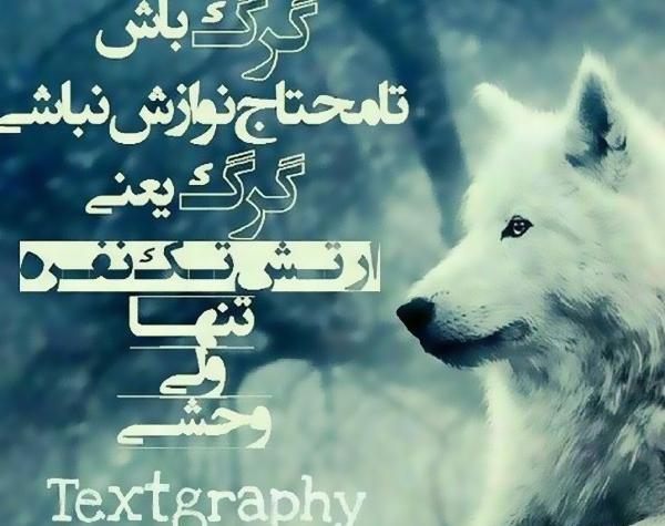 عکس گرگ نوشته خفن