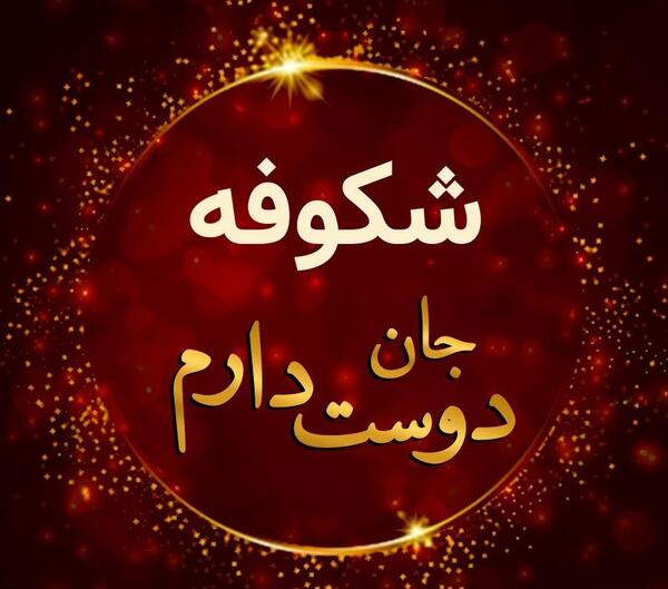 عکس نوشته شکوفه دوستت دارم