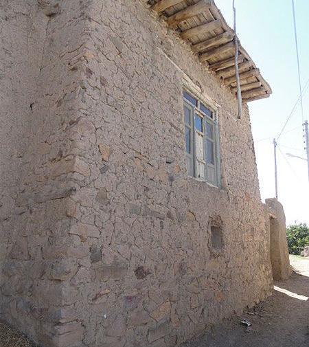عکس های کاغذکنان