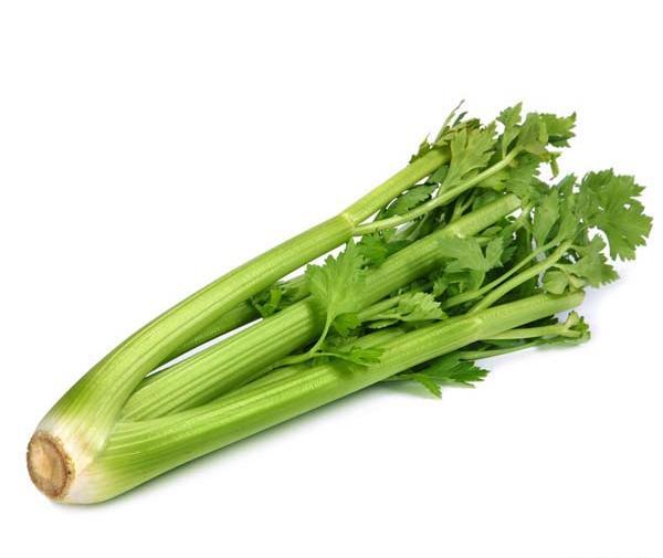 عکس از گیاه کرفس