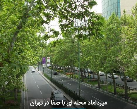 عکس باران میرداماد