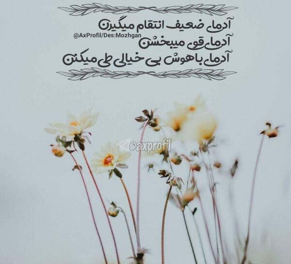 عکس متن زیبا در مورد زندگی برای واتساپ