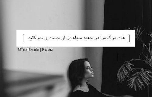 عکس نوشته تیکه دار آقای قاضی