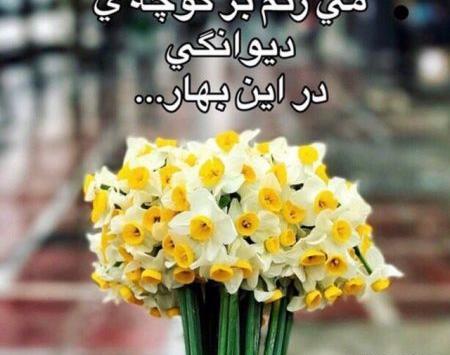 عکس ساناز فدایی