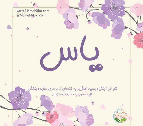 عکس دوست دارم یاس
