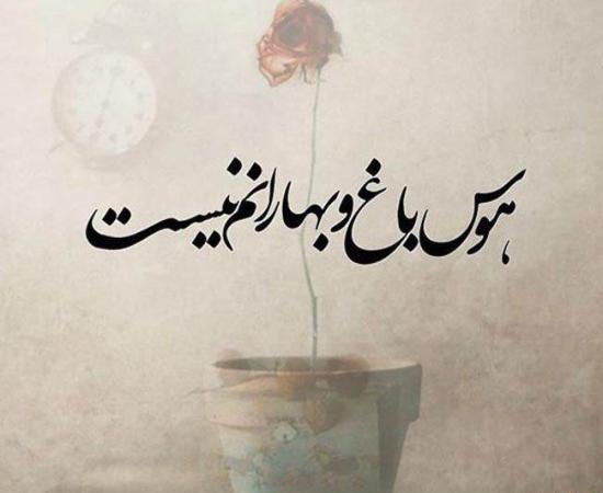 عکس پروفایل حافظ و سعدی