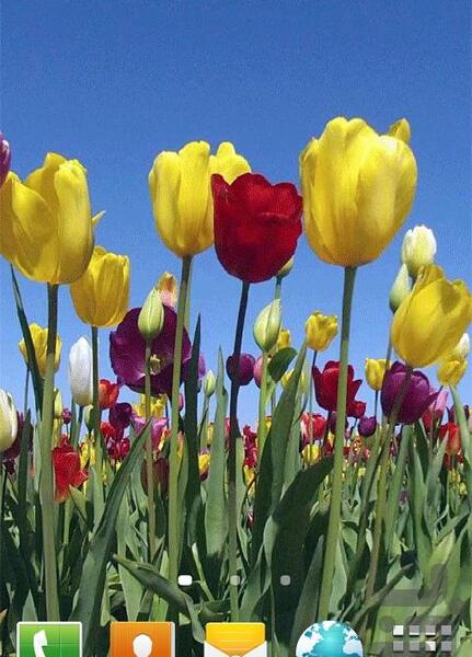 عکس های متحرک بهاری