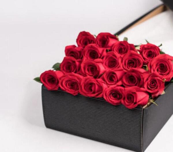 عکس دسته گل پر