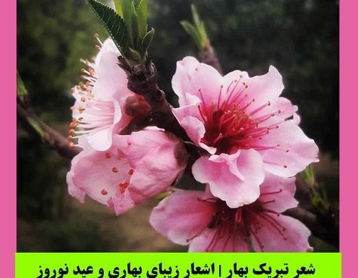 عکس های بهار و نوروز