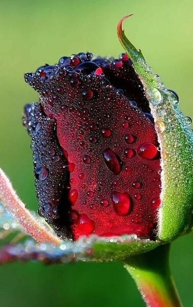 عکس منظره برای پروفایل واتساپ