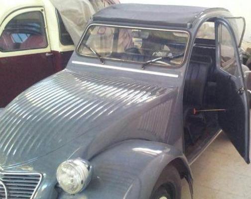 عکس اولین ژیان